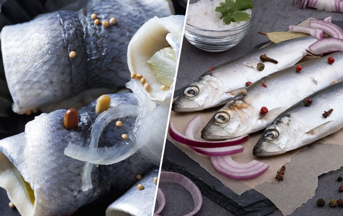 Оселедець чи матіас: у чому відмінність та чому один різновид вважають делікатесом